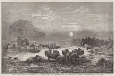 Winter, Sheep Feeding, from the Exhibition of the Society of Painters in Water-Colours